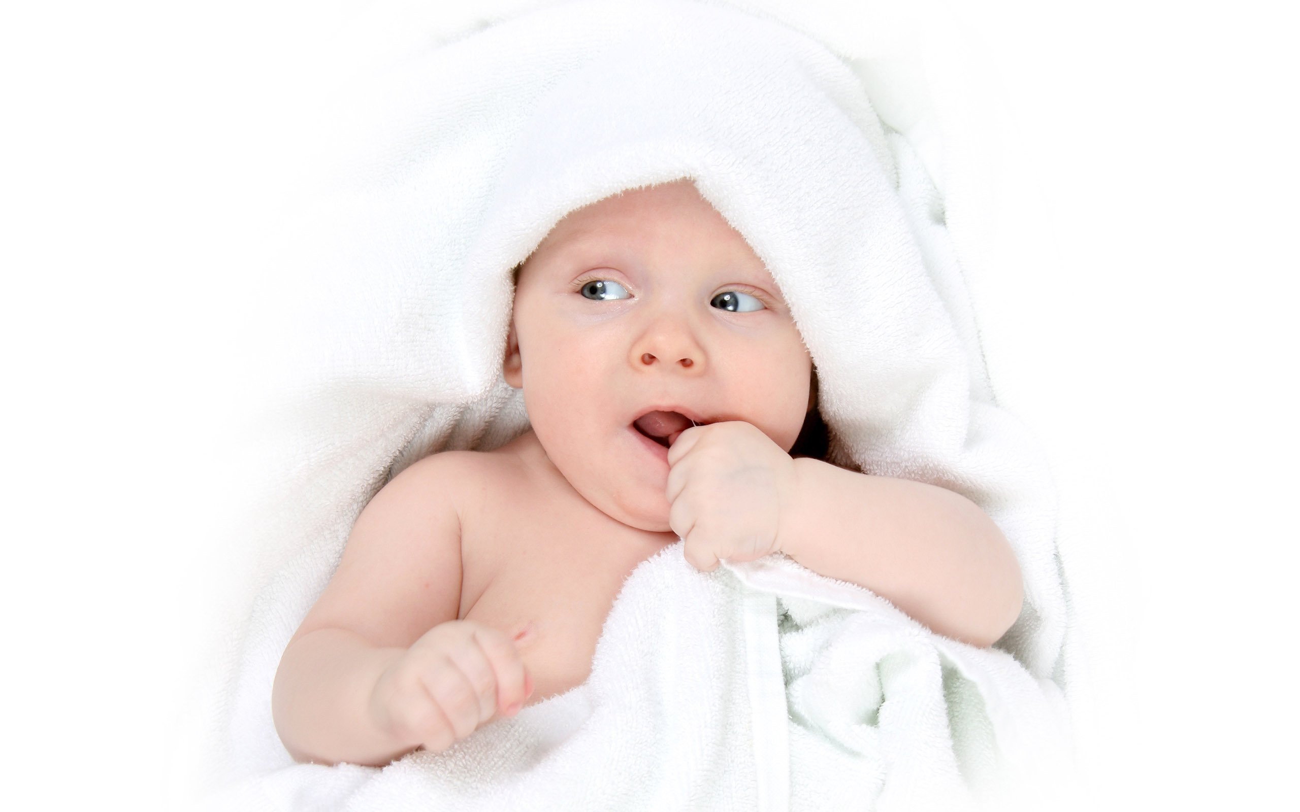 捐卵机构中心试管婴儿第二代成功率